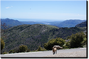 Plateau du sanctuaire de la Madone d'Utelle Alpes Maritimes